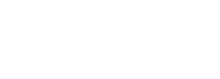 Media Mirror Logo